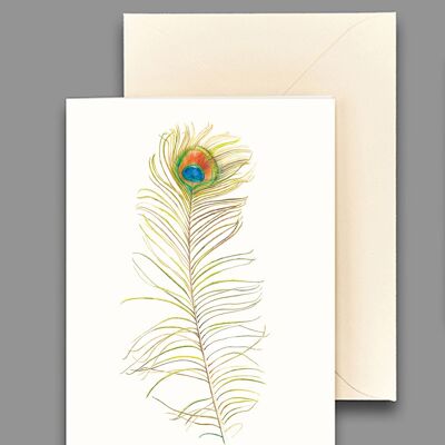 Greeting card peacock feather