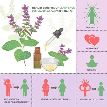 Aceite Esencial de Salvia Clary Orgánica 10ml 4