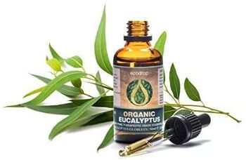 Aceite Esencial de Eucalipto Ecológico 50ml 2