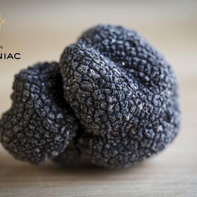 Fresh washed black truffles in 100g bag (tuber melanosporum)