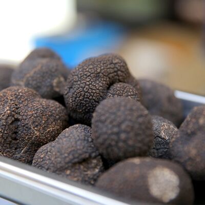 Fresh washed black truffles in a 50g bag (tuber melanosporum)