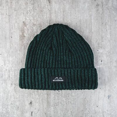 Fisher Beanie - Green