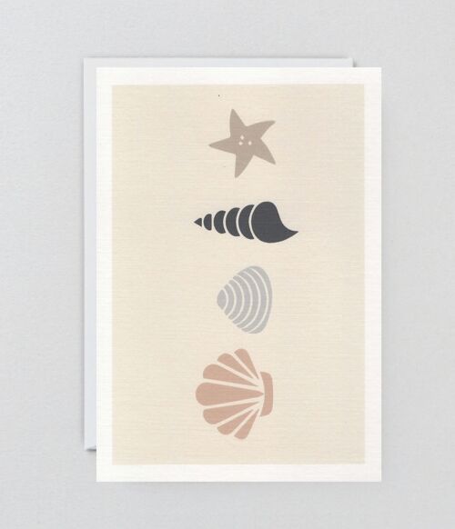 Shells - Greeting Card