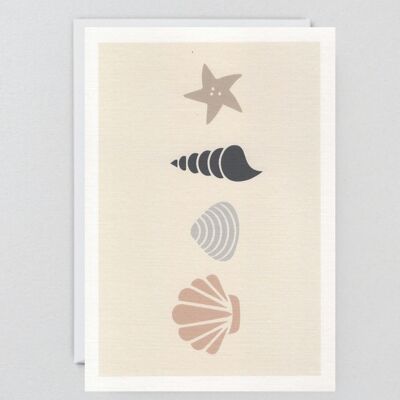 Shells - Greeting Card
