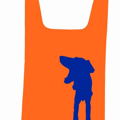 Bob Bag - Orange Blue