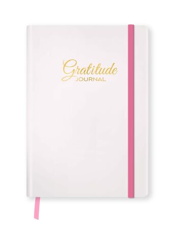 Journal de gratitude fard à joues / SKU294 1