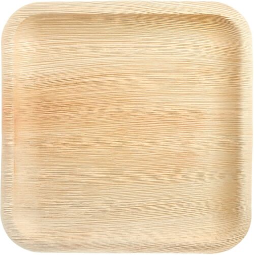 Areca Palm Leaf Disposable Eco-friendly 10″ Square Plate, 25cm (Pack Of 25)
