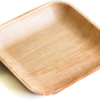 Areca Palm Leaf Disposable Eco-friendly 6″ Square Plate, 15cm (Pack Of 25)