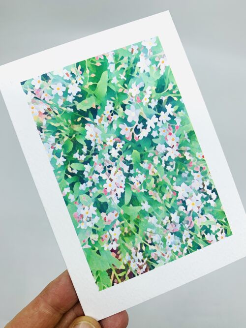 Forget-me-Nots Greetings Card