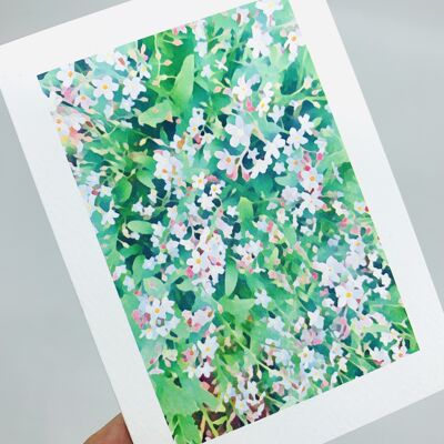 Forget-me-Nots Greetings Card