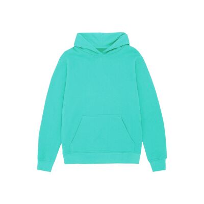54 floral premium pullover hoody | turquoise blue