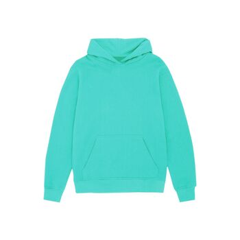 54 SWEAT À CAPUCHE FLORAL PREMIUM | BLEU TURQUOISE