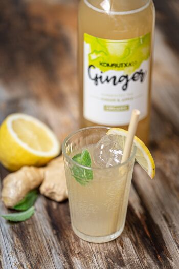 KOMBUTXA GINGER 275ml: Gingembre et Pomme 2