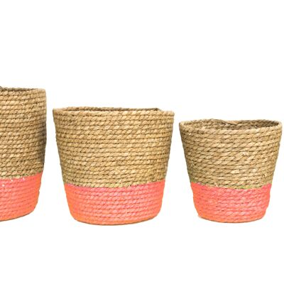 Cattail Basket Set / 4 coral