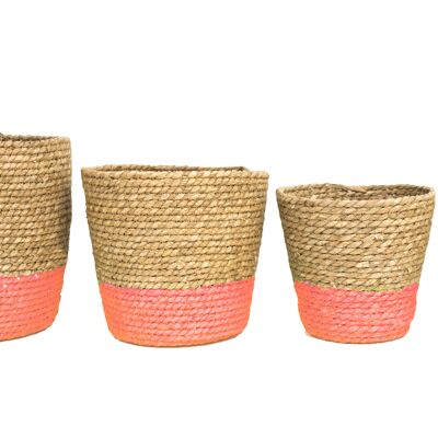 Cattail Basket Set/4 coral