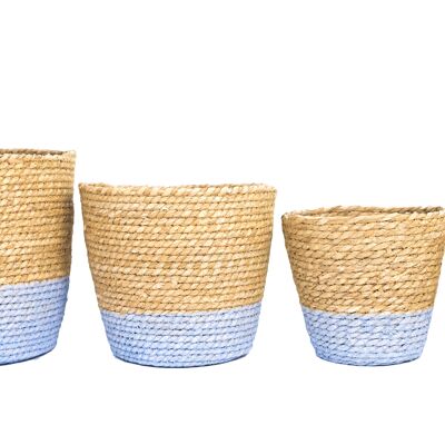 Cattail Basket Set / 4 light blue