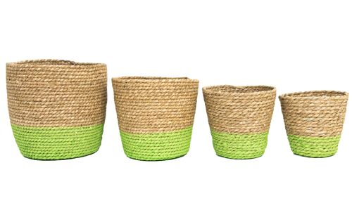 Cattail Basket Set/4 hellgrün