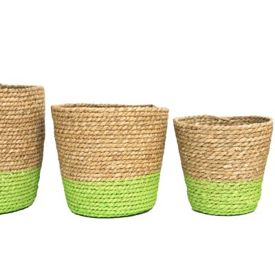 Cattail Basket Set / 4 light green