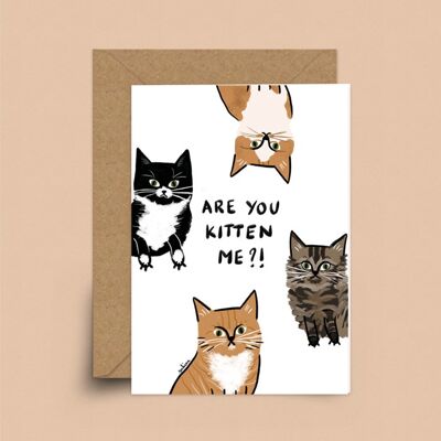 Are you kitten me card