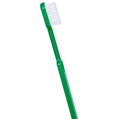 Brosse à dents rechargeable bioplastique Caliquo Verte souple