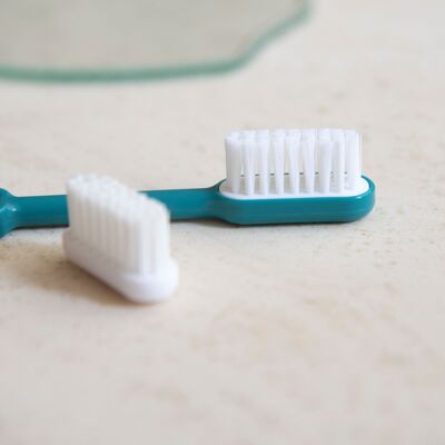 Brosse à dents rechargeable bioplastique Caliquo Bleu turquoise medium