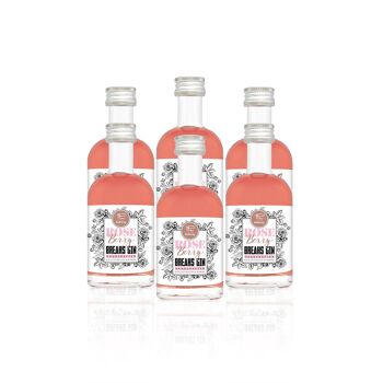 Break's Gin - Rose Little 2