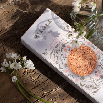 Biscuit à la framboise, au citron vert et à l'avoine (sans gluten, sans produits laitiers, végétarien). 17