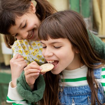 Biscuit au citron et au chia (sans gluten, sans produits laitiers, végétarien). 4