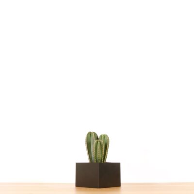 Piccolo vaso di fiori nero senza bordo