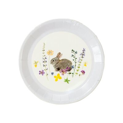 Truly Bunny Canape Plates