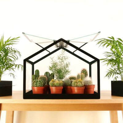 Mini-Greenhouse "Dream"