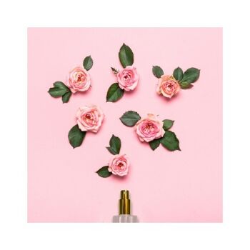 Patchouli Rose Made in Grasse Eau de Parfum 100 ml -offre cadeau 2