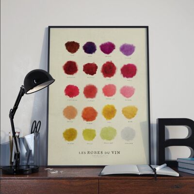 Colori del vino - 50x70 cm
