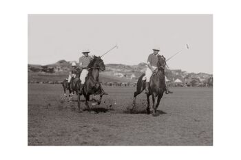Photo ancienne noir et blanc cheval n°13 alu 30x45cm 5