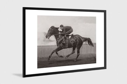 Photo ancienne noir et blanc cheval n°40 alu 30x45cm