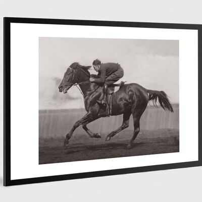 Old black and white photo horse n°40 alu 30x45cm
