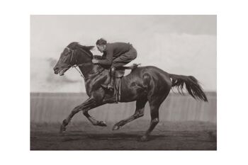 Photo ancienne noir et blanc cheval n°40 alu 30x45cm 5