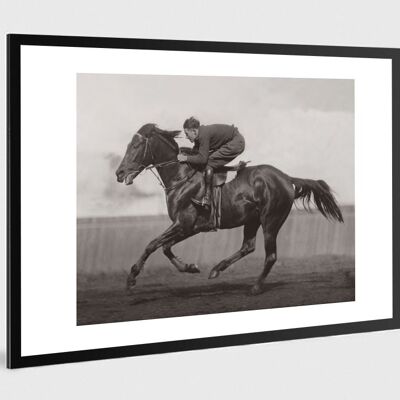 Old black and white photo horse n°40 alu 40x60cm