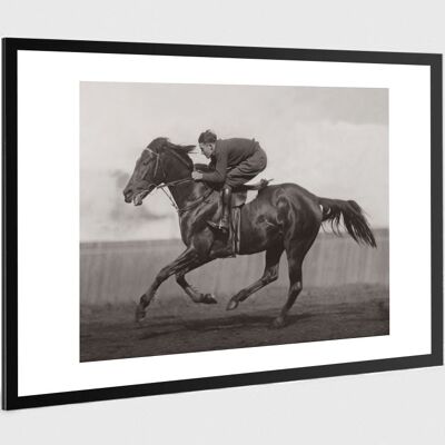 Foto antigua en blanco y negro caballo n°40 alu 40x60cm