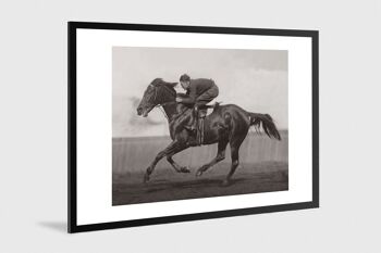 Photo ancienne noir et blanc cheval n°40 alu 70x105cm 1