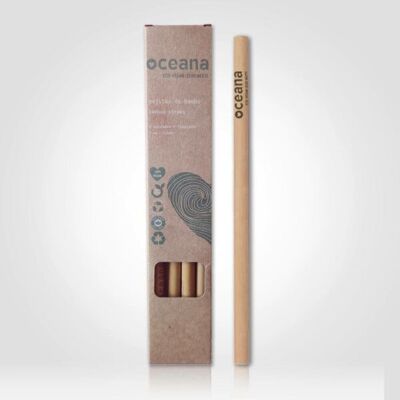 Biodegradable Reusable Bamboo Straws 4 uts + cleaner