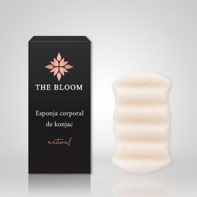 Natural White Konjac Sponge