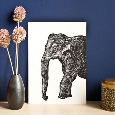 Poster | Elefant