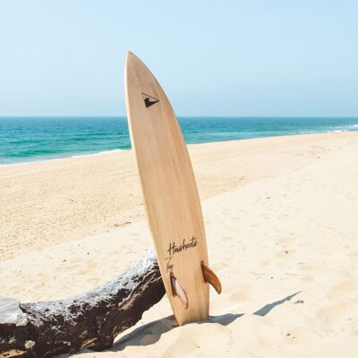 Tabla de surf EkoFish Hushoots