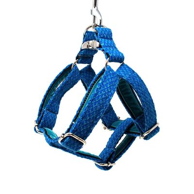 (XS) Royal Blue & Turquoise - Harris Design - Dog Harness