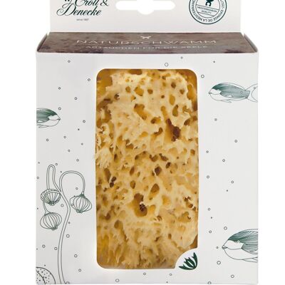 Natural sponge in an eco-friendly gift box, large