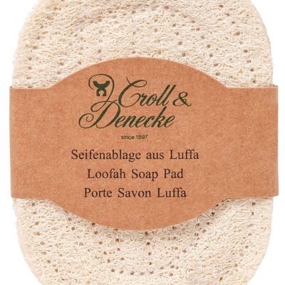 Loofah soap dish