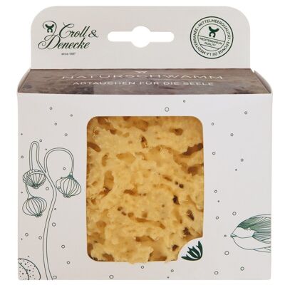 Natural sponge in an eco-friendly gift box, medium