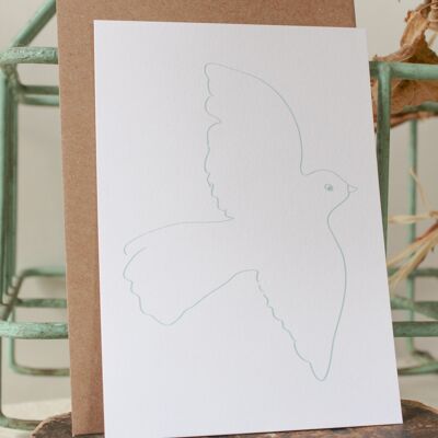 Carte postale colombe bleu clair