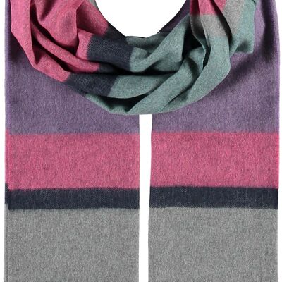 Colori della sciarpa